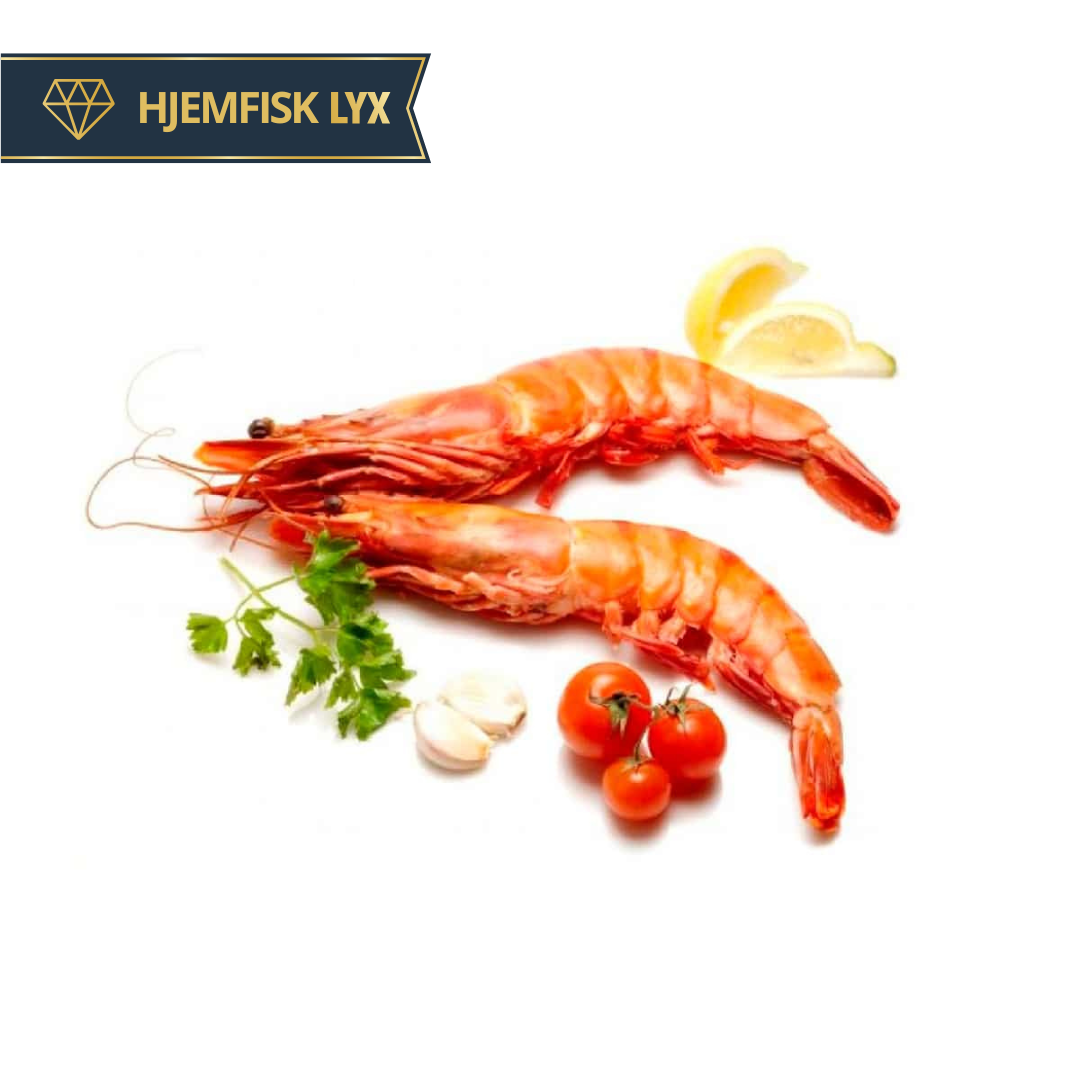 Gambas - 10/15 - kogte