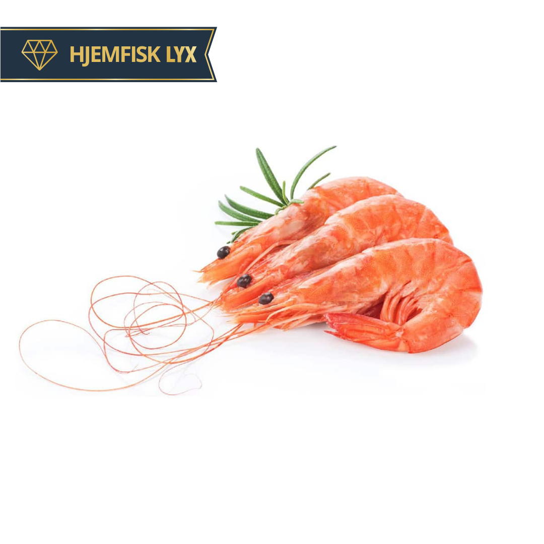 Rejer - ekstra store - 40/60